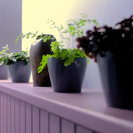 Le Cabaliros Hotel Arcizans-Avant