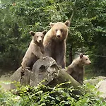 Le Cabaliros 3*